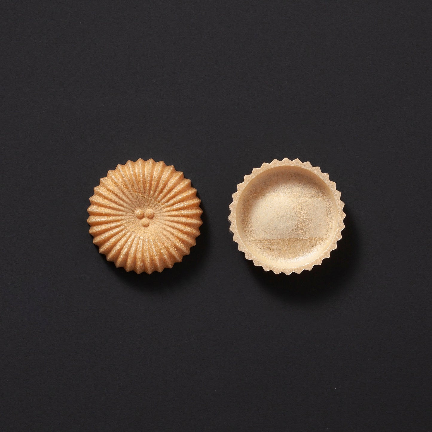 [A011] Japanese larch
